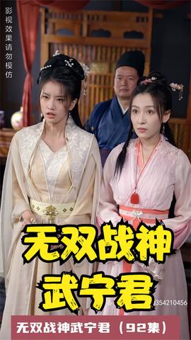 无双战神武宁君